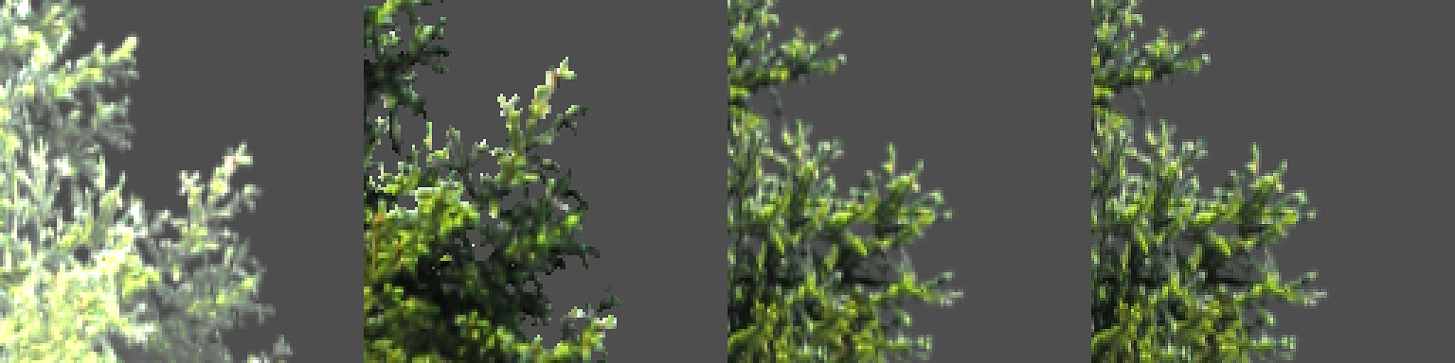 Blending Modes magnified: (from left to right) Add, Alpha Clip, Alpha Blend, and Alpha Sort.